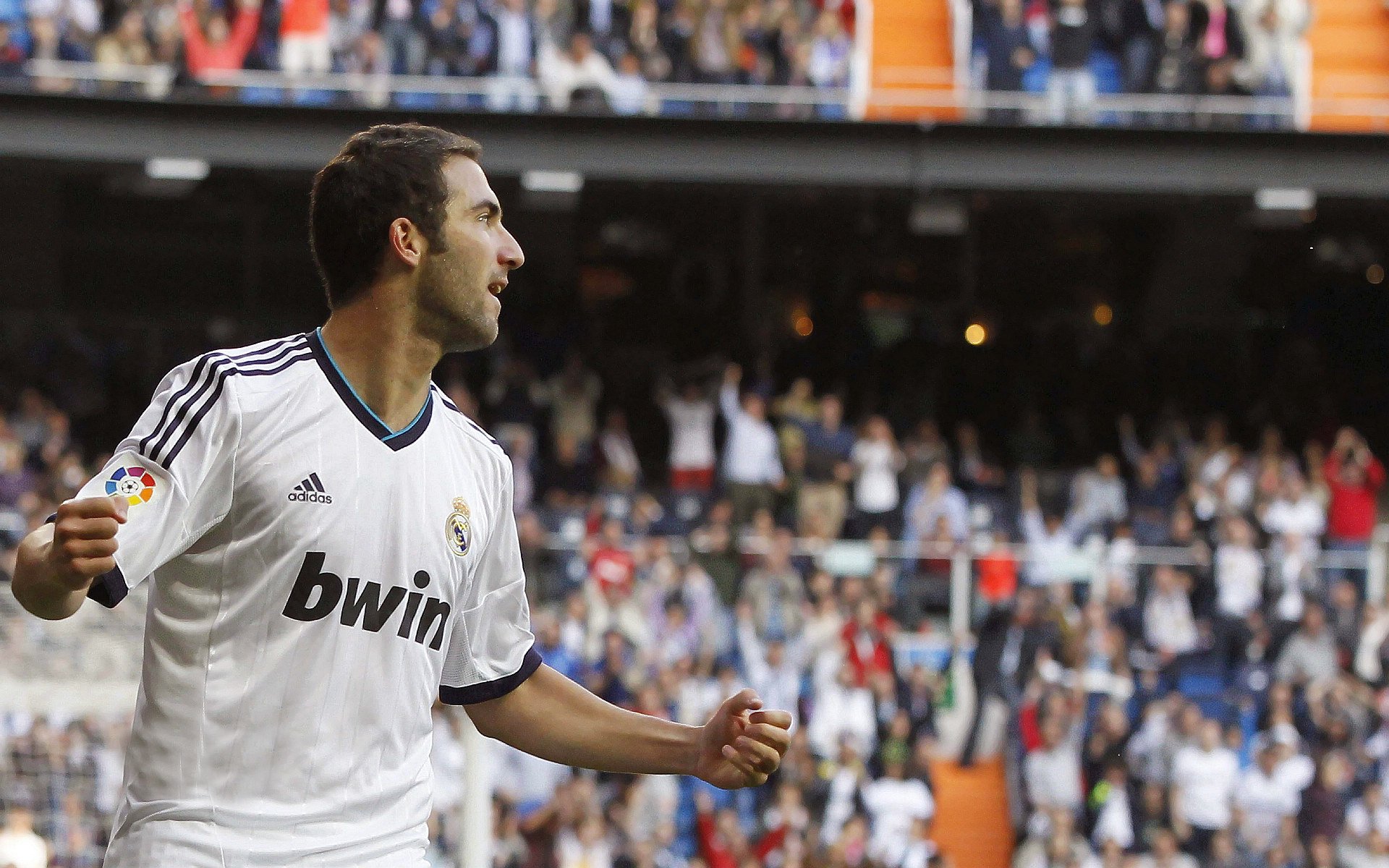 激情与归属，全球球迷文化如何塑造现代体育的独特魅力