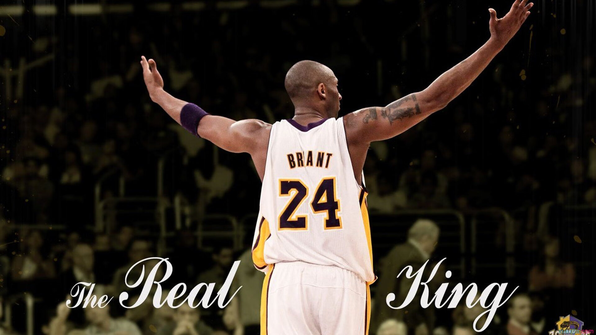 纳达尔鏖战五盘险胜德约科维奇 第15次晋级法网四强