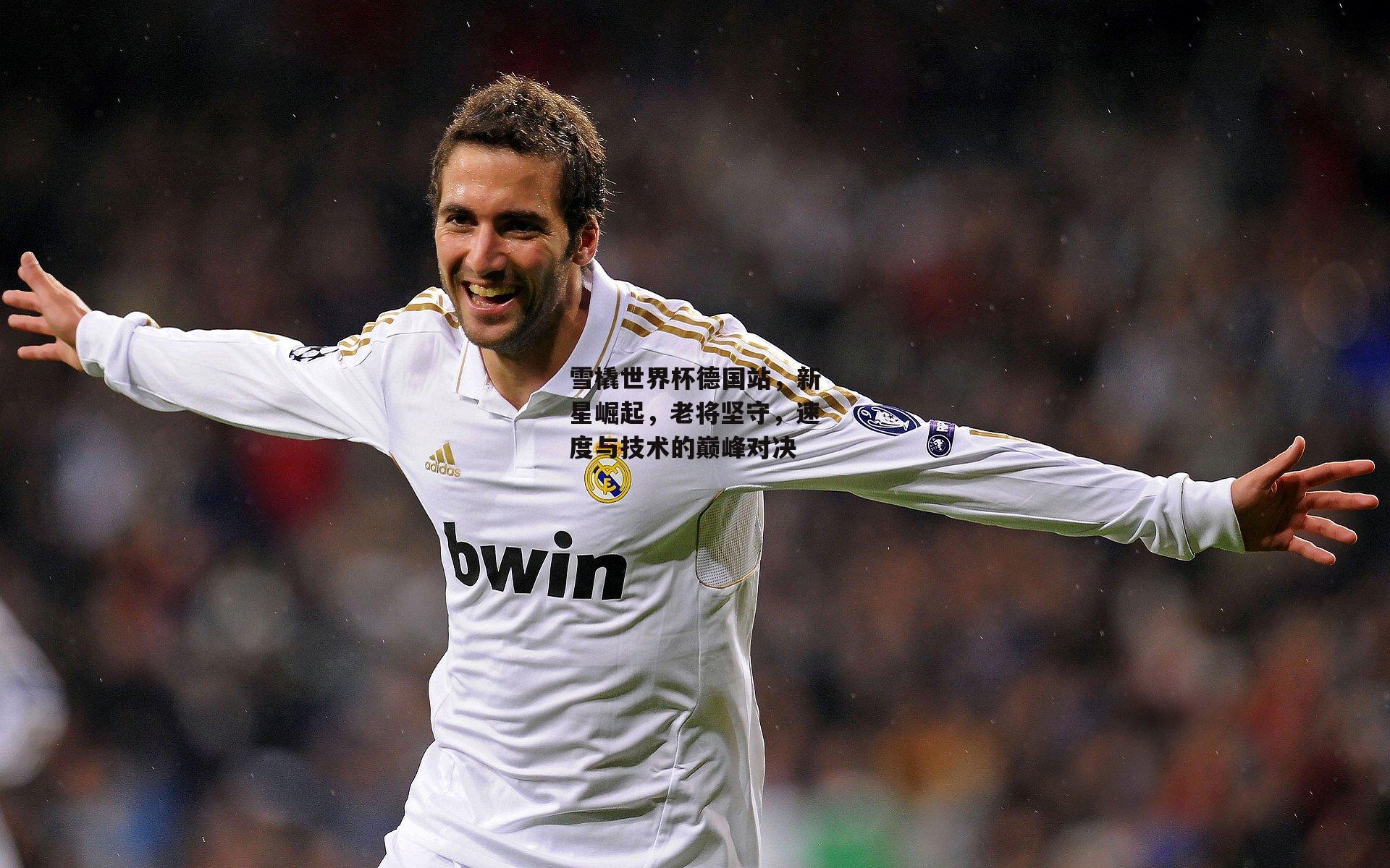 雪橇世界杯德国站,新星崛起,老将坚守,速度与技术的巅峰对决