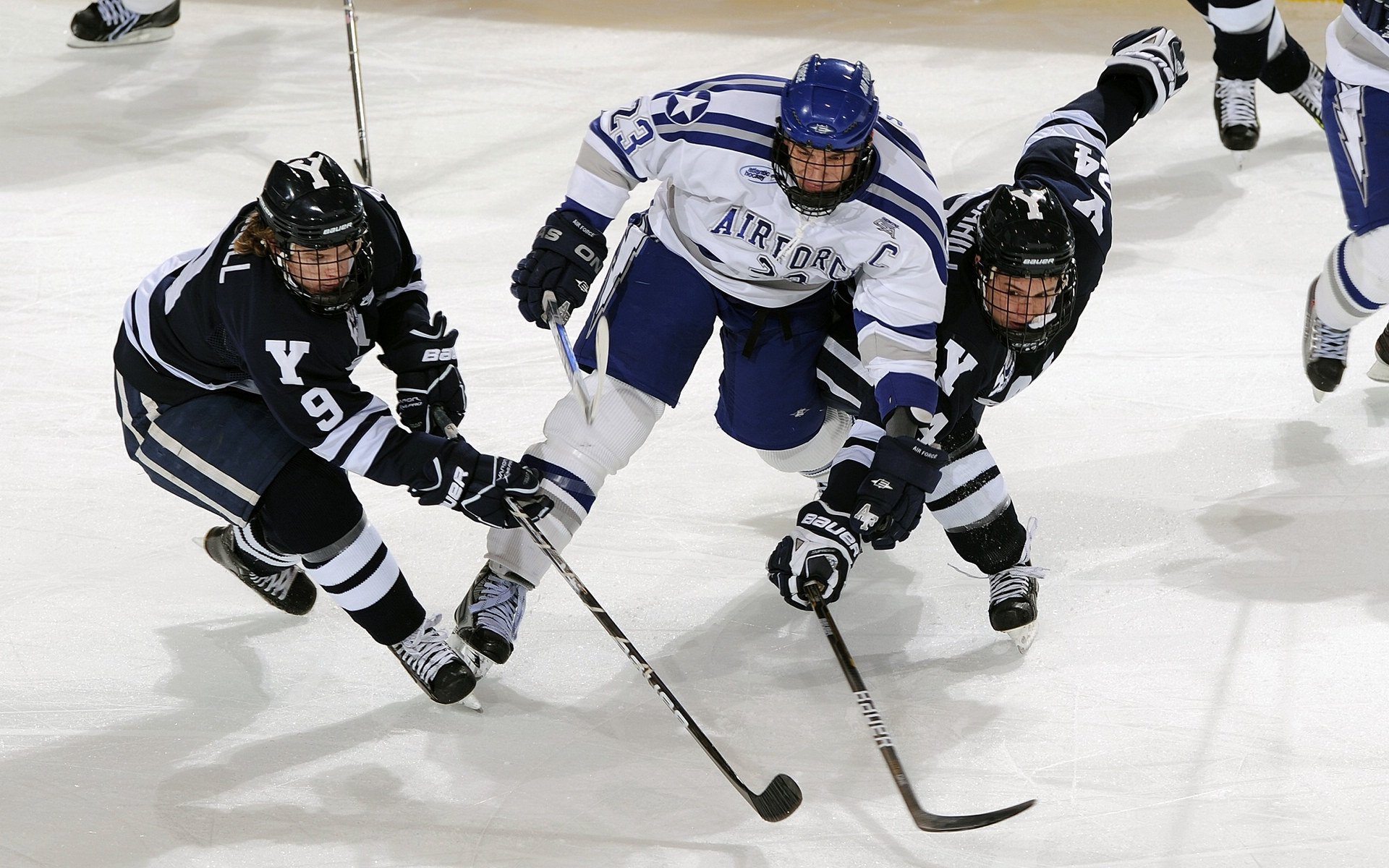 中国花样游泳队巴黎奥运备战进入冲刺阶段 新编排惊艳亮相