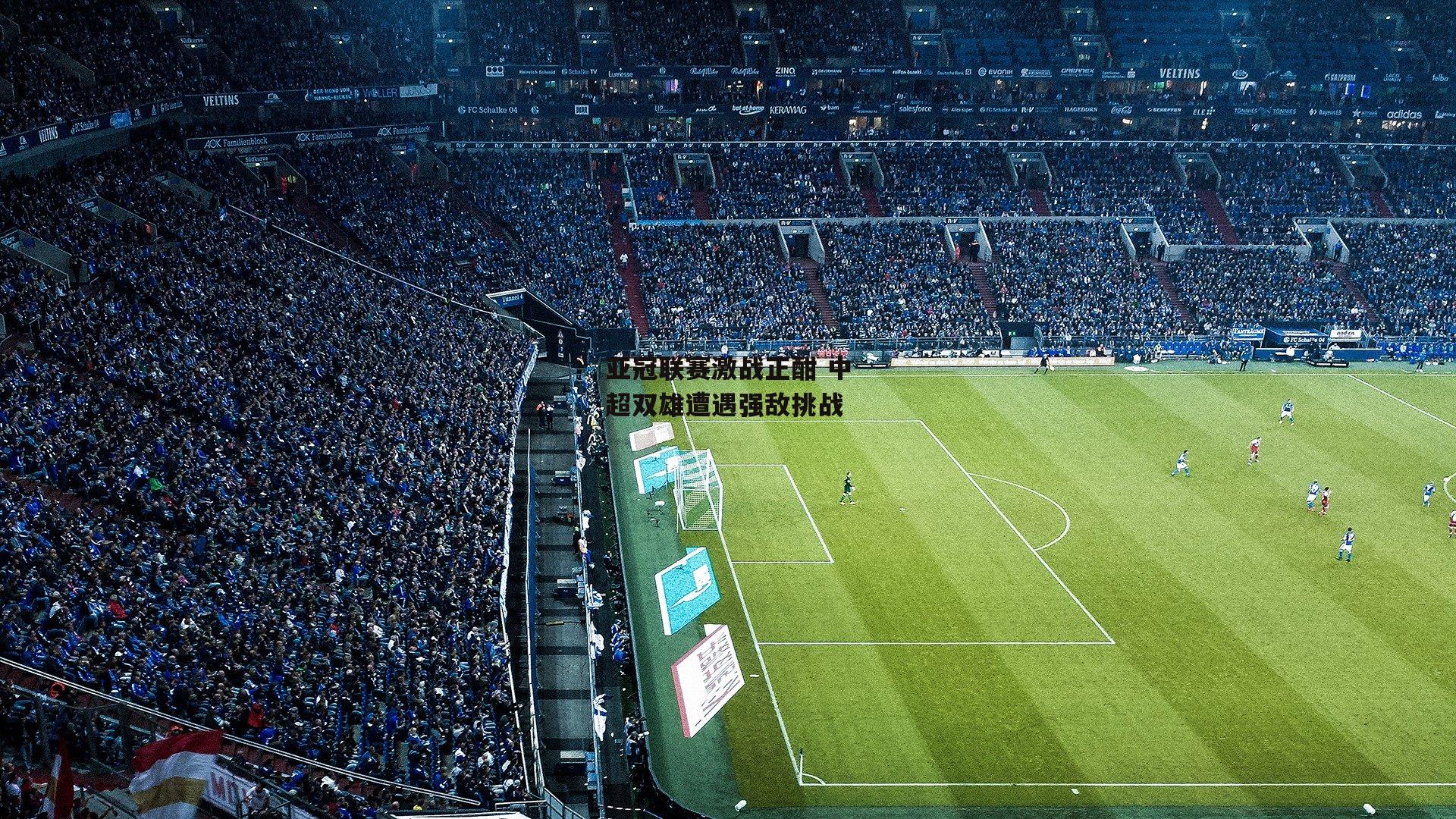 亚冠联赛激战正酣 中超双雄遭遇强敌挑战