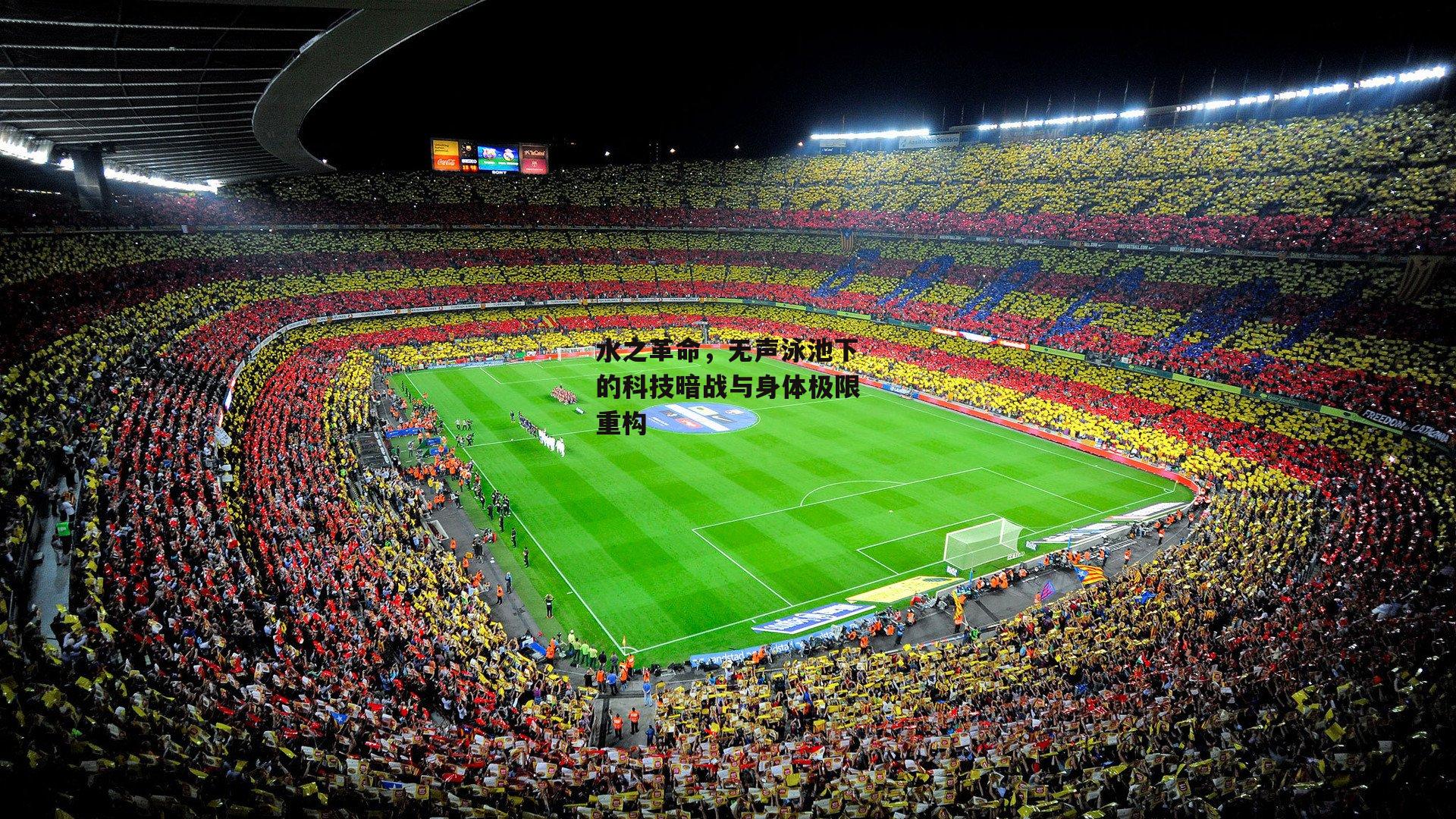 水之革命,无声泳池下的科技暗战与身体极限重构