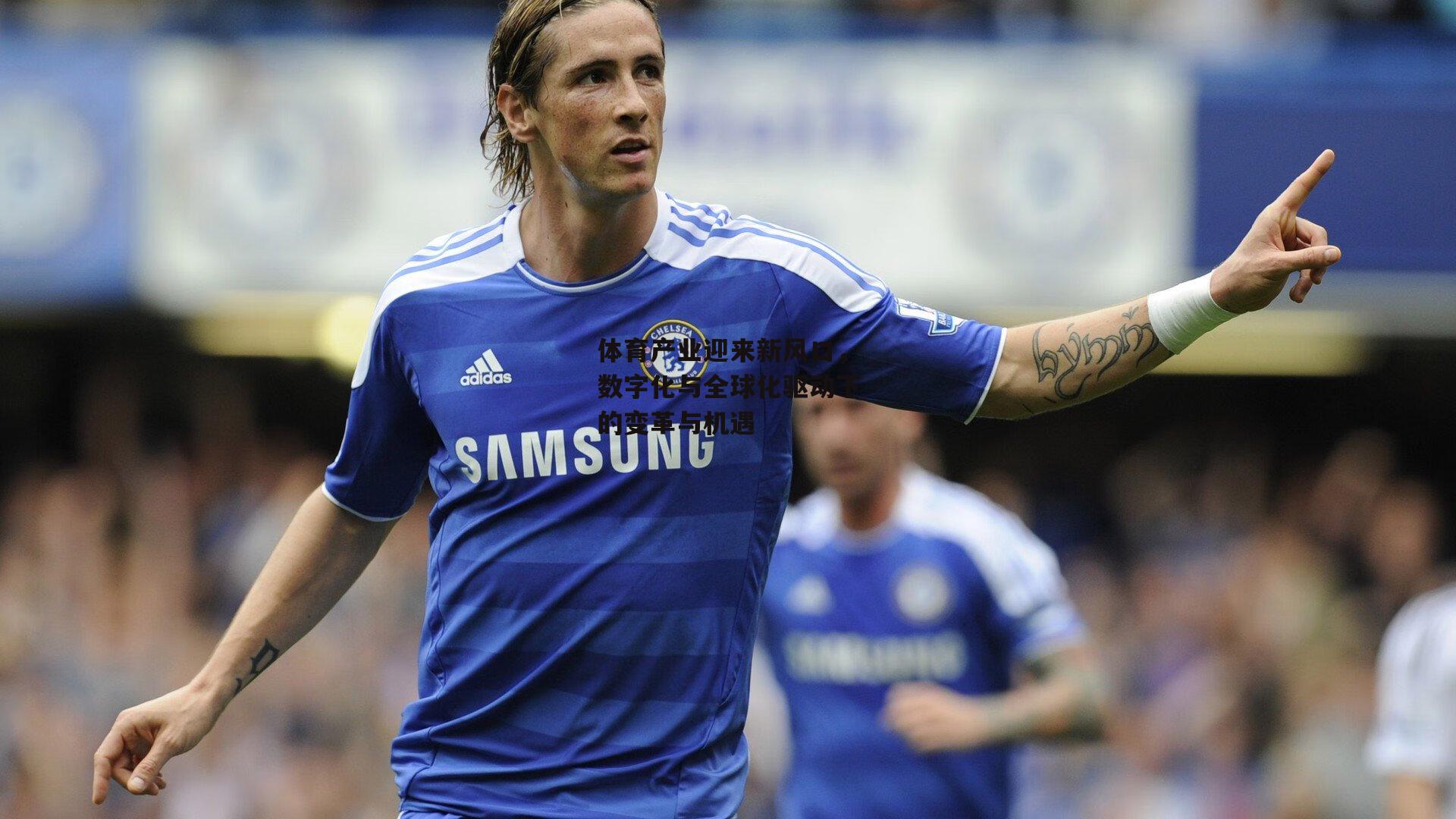 体育产业迎来新风口,数字化与全球化驱动下的变革与机遇